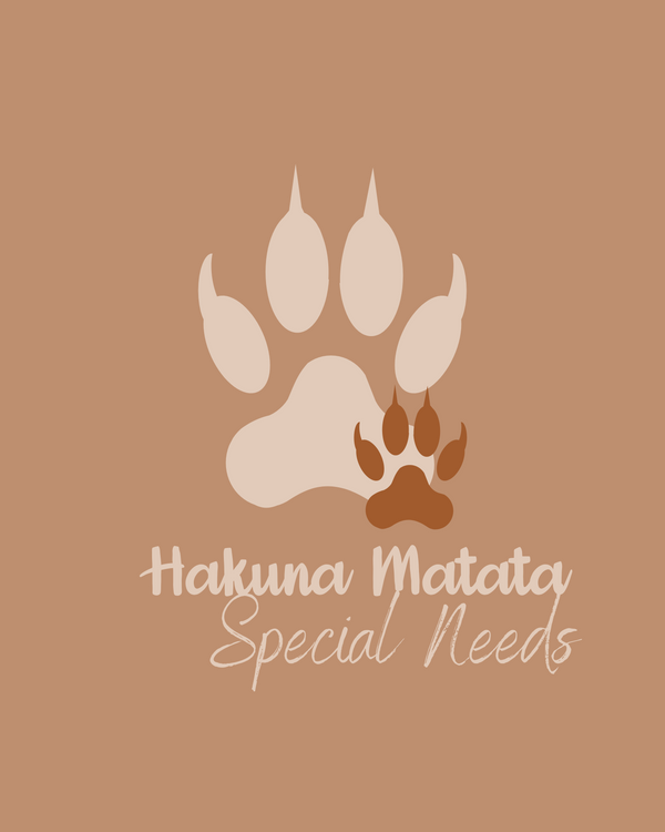 HakunaMatataSpecialNeeds